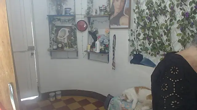 FunnyGrandma online show from July 2026 08:11:02 PM