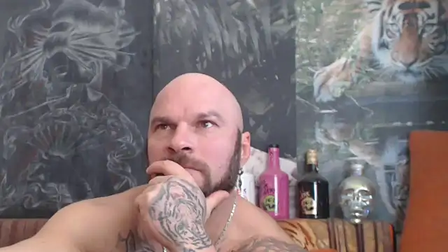 viking 30 online show from November 2025 08:27:02 AM