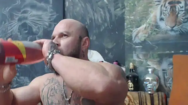 viking 30 online show from November 2025 08:09:01 PM