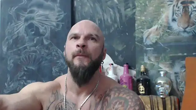 viking 30 online show from November 2025 08:07:01 PM