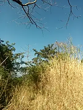 SunnyleoneBG online show from February 2025 05:03:02 AM