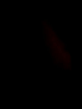 guilherme205 online show from February 2026 02:43:02 PM