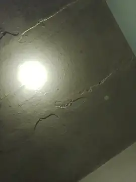 Indianbloom- online show from April 2026 09:32:02 AM