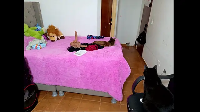 emily honter online show from December 2025 08:46:01 PM