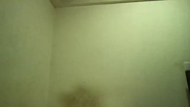 Magicwordsforme online show from March 2025 12:40:02 AM