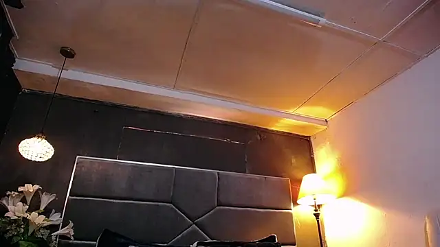 teddyfit19cm online show from February 2026 01:30:02 PM