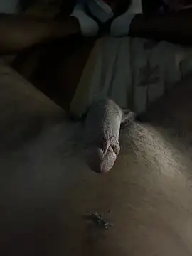 Snapshot of mamoubz chatting on November 2025 11:04:02 PM mamoubz online show from November 2025 11:04:02 PM