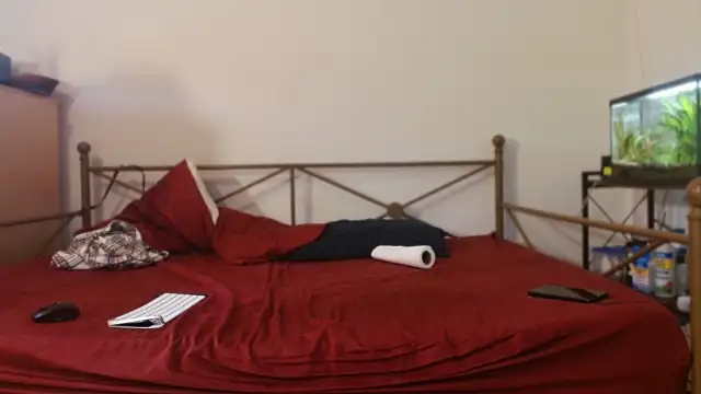 Snapshot of Dragonnyc@xh chatting on February 2026 08:54:01 PM Dragonnycxh online show from February 2026 08:54:01 PM