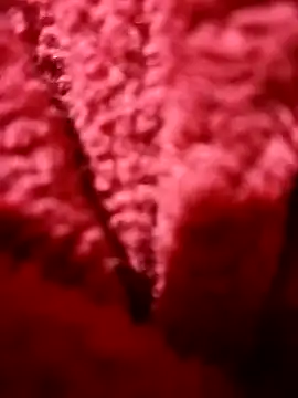 modelo38528061 online show from December 2024 01:49:01 PM