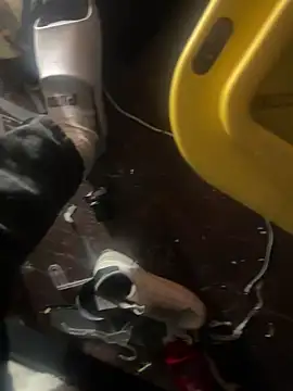 Snapshot of Exclusivenutxxx chatting on January 2025 06:56:01 PM Exclusivenutxxx online show from January 2025 06:56:01 PM