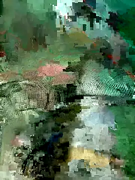 Subhajit12Jana23 online show from March 2026 06:50:01 AM