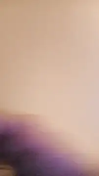 BunnyandClydeDk online show from January 2025 06:47:01 PM