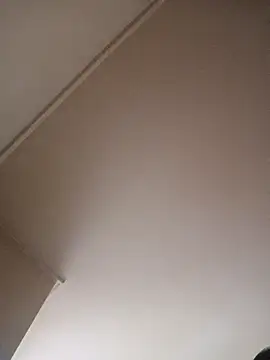 BunnyandClydeDk online show from March 2025 07:41:01 AM