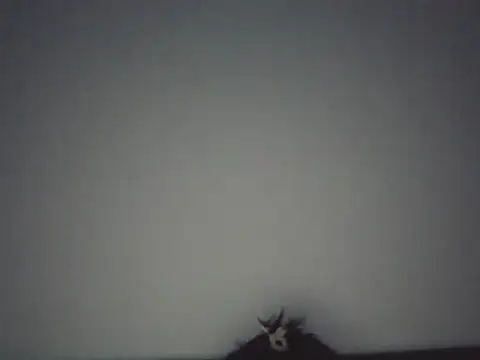 FallenDevil online show from May 2026 07:32:02 PM