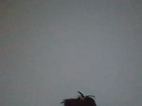 FallenDevil online show from May 2026 07:48:02 PM