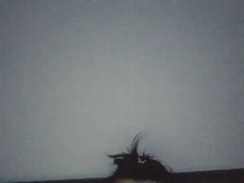 FallenDevil online show from July 2026 07:09:01 PM