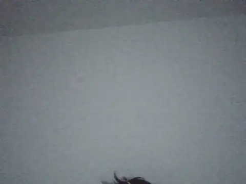 FallenDevil online show from July 2026 07:30:01 PM