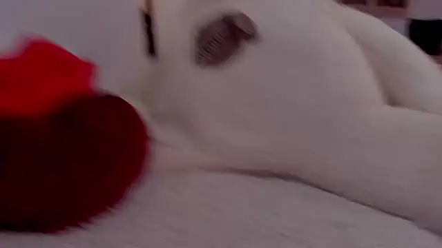 aryahunt1 online show from February 2025 01:37:02 PM