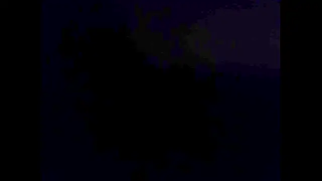 hairyuncut00 online show from November 2025 06:10:01 PM