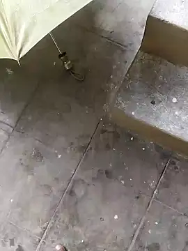 Snapshot of rameshmry1 chatting on December 2024 08:14:02 AM rameshmry1 online show from December 2024 08:14:02 AM