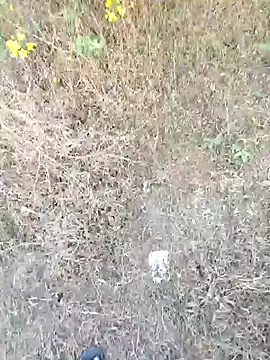 rameshmry1 online show from March 2026 12:10:02 PM