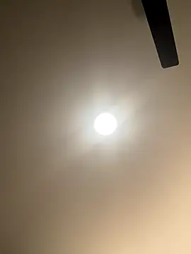 Snapshot of Foreignthababyy chatting on September 2025 10:49:02 AM Foreignthababyy online show from September 2025 10:49:02 AM