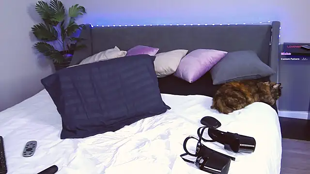 Snapshot of EvaMoses chatting on February 2025 02:09:02 PM EvaMoses online show from February 2025 02:09:02 PM