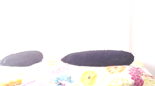 dayanasanz online show from January 2025 06:55:02 PM