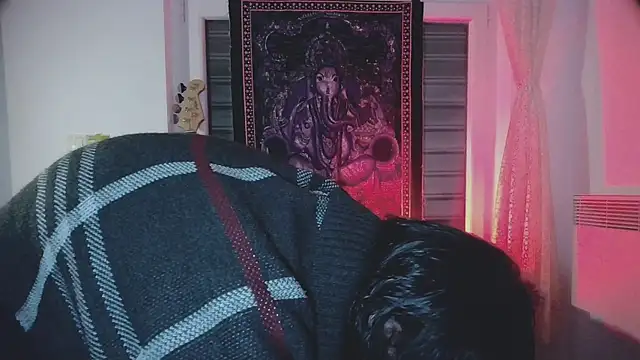 sademobeer online show from October 2025 02:56:01 AM