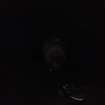 AlexAlejandro13 online show from February 2026 06:40:02 AM