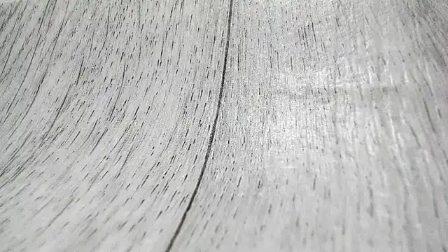 Snapshot of LittleSonya chatting on December 2025 04:55:02 PM LittleSonya online show from December 2025 04:55:02 PM