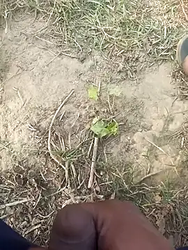 FinableKnee online show from November 2025 10:07:01 AM