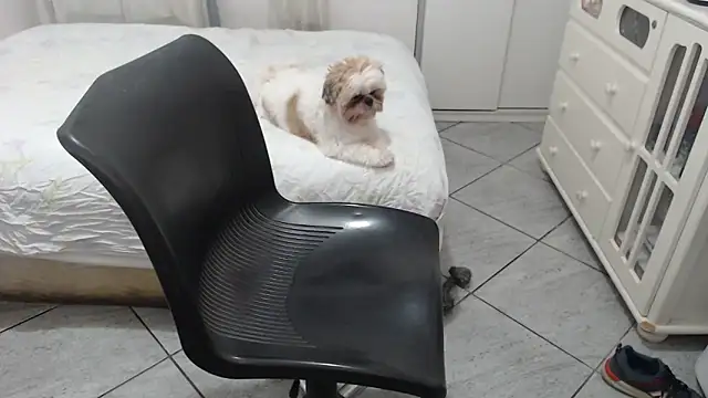 MysterBearMG online show from November 2025 12:32:01 AM