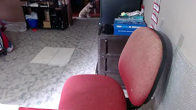 Barbiegomez online show from March 2026 04:11:01 PM