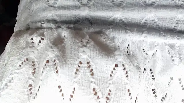 aleera starxx982 online show from January 2026 11:59:02 AM