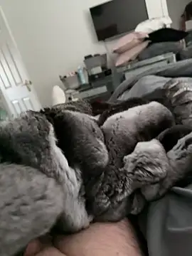 Furdale online show from October 2025 02:18:01 PM