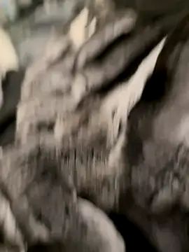 Furdale online show from October 2025 07:04:02 PM