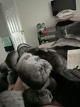 Furdale online show from November 2025 02:49:01 PM