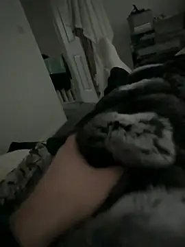 Furdale online show from February 2026 02:49:02 PM