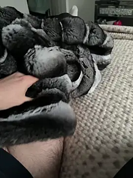 Furdale online show from February 2026 03:38:01 PM