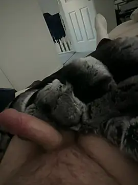 Furdale online show from February 2026 05:03:01 PM