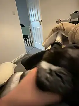 Furdale online show from March 2026 04:57:02 PM