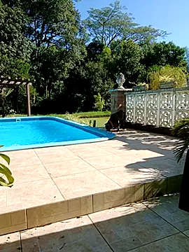 Snapshot of dutra498 chatting on February 2026 07:18:01 PM dutra498 online show from February 2026 07:18:01 PM