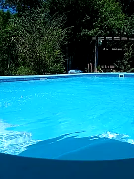 Snapshot of dutra498 chatting on February 2026 04:23:01 PM dutra498 online show from February 2026 04:23:01 PM