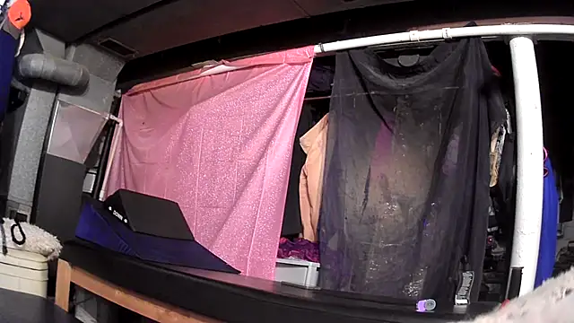 cum4calvin online show from April 2026 05:16:02 PM