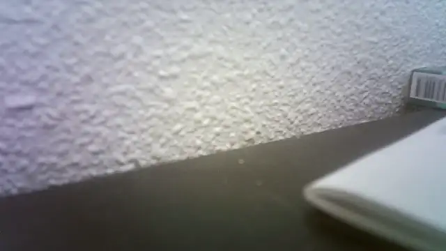 pau65vb online show from November 2025 08:03:02 AM