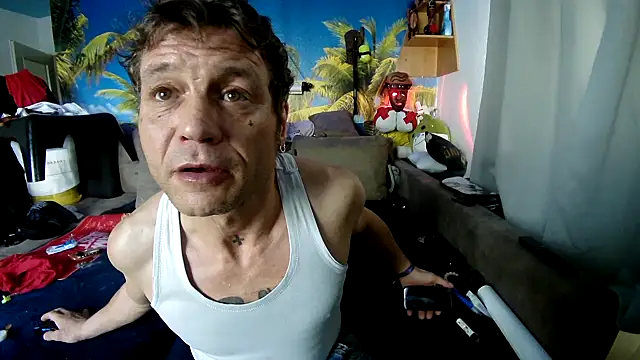 Snapshot of druckfug chatting on December 2025 11:19:01 AM druckfug online show from December 2025 11:19:01 AM