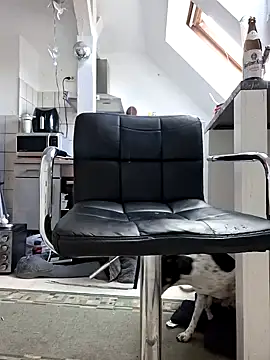 Percy ohv online show from March 2026 01:11:02 PM