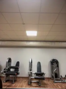 MistressBelleNoire online show from January 2025 09:26:02 PM