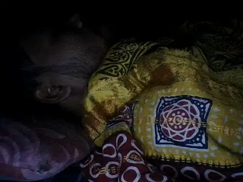 chittagong77 online show from December 2025 09:53:01 PM